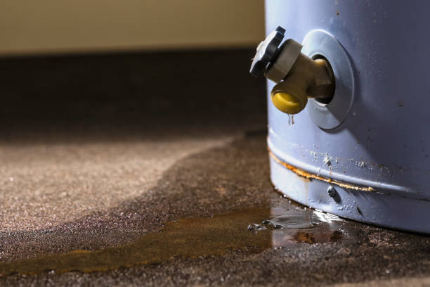 Best Local water damage restoration  in Paw Paw Lake, MI