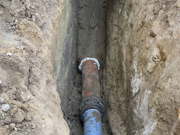 Best Basement water damage restoration  in Paw Paw Lake, MI