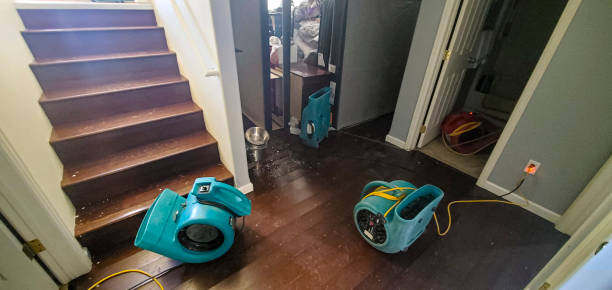 Best Mold removal after water damage  in Paw Paw Lake, MI