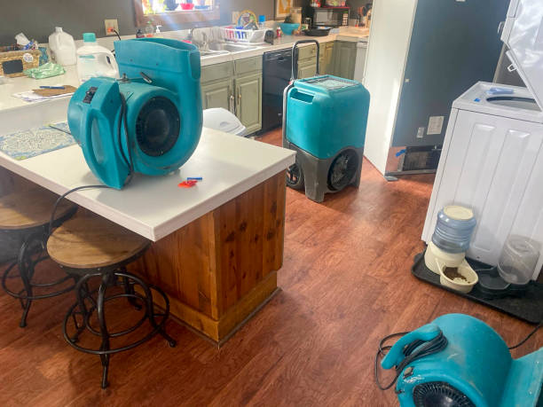Best Water damage contractors near me  in Paw Paw Lake, MI
