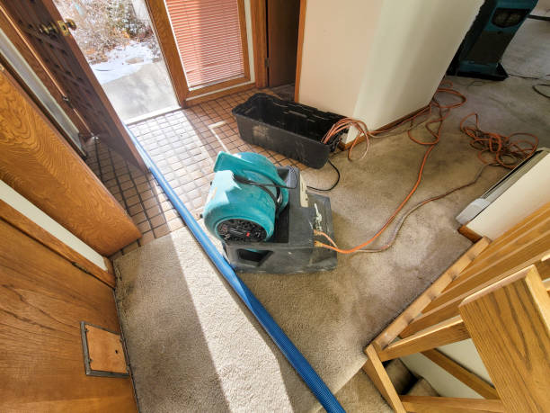 Best Flooded house restoration  in Paw Paw Lake, MI