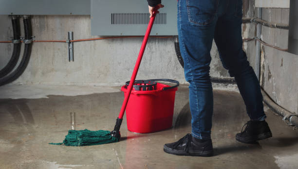 Water damage restoration experts in MI