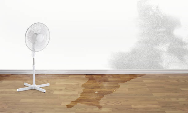  Paw Paw Lake, MI Water damage restoration Pros