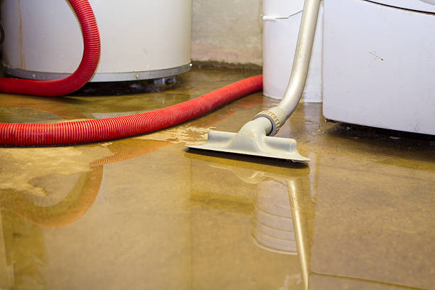Best 24/7 water damage repair  in Paw Paw Lake, MI