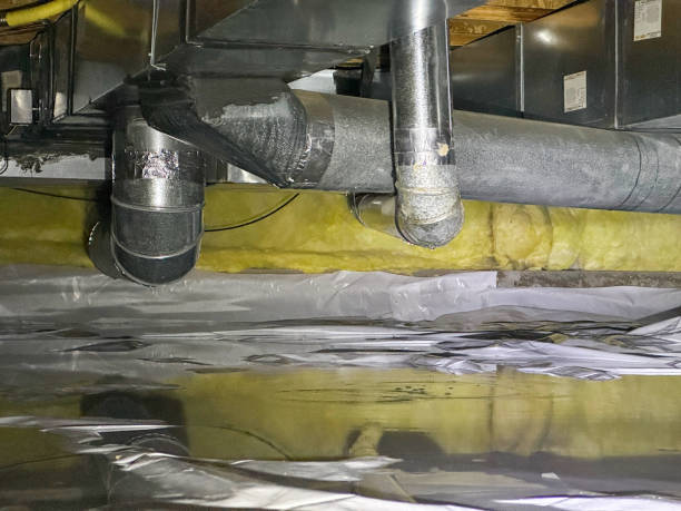 Best Water damage restoration near me  in Paw Paw Lake, MI